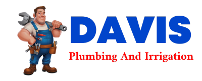 Trusted plumber in RAPELJE